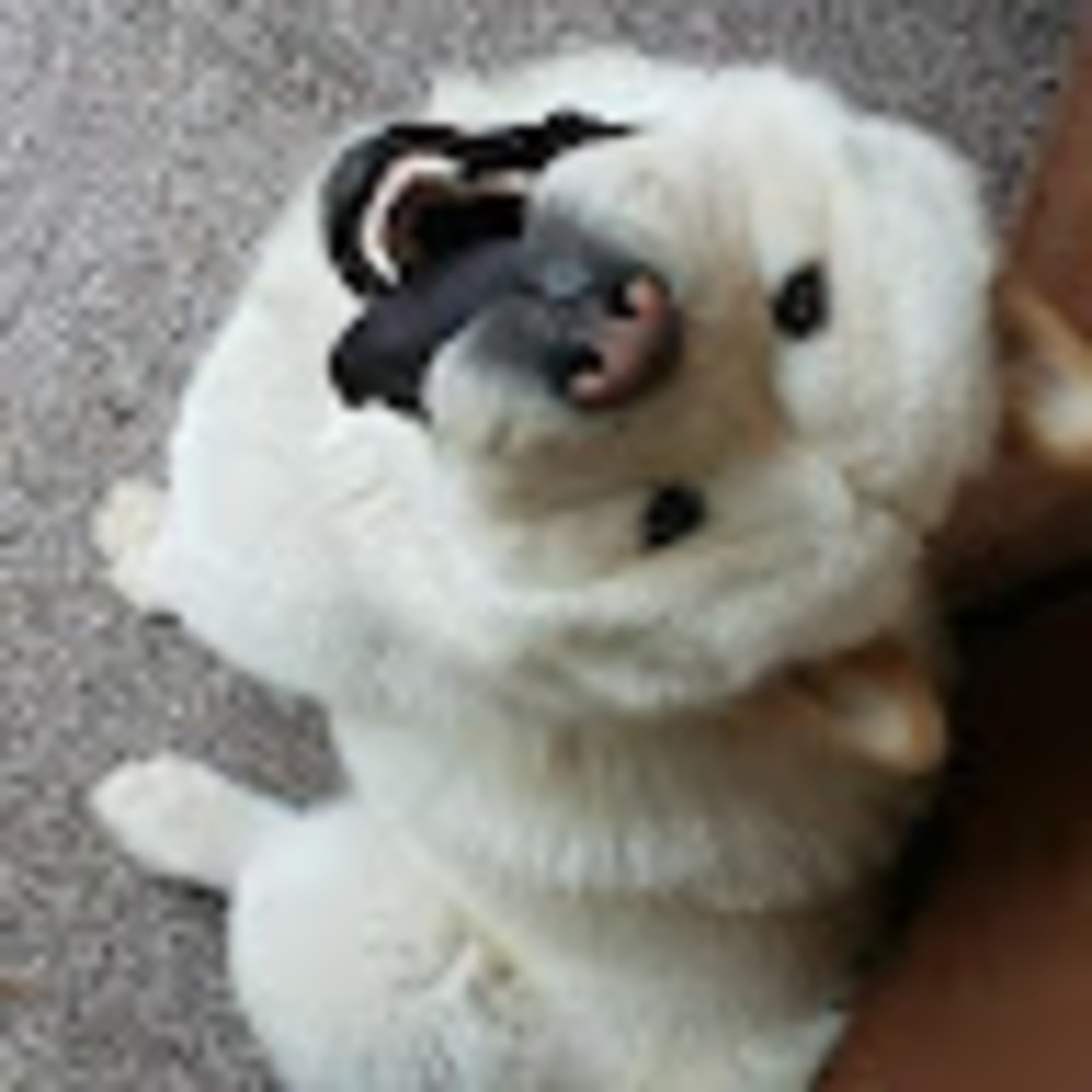 Meet your Posher, Viviana